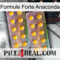 Anaconda Strong Formula new10